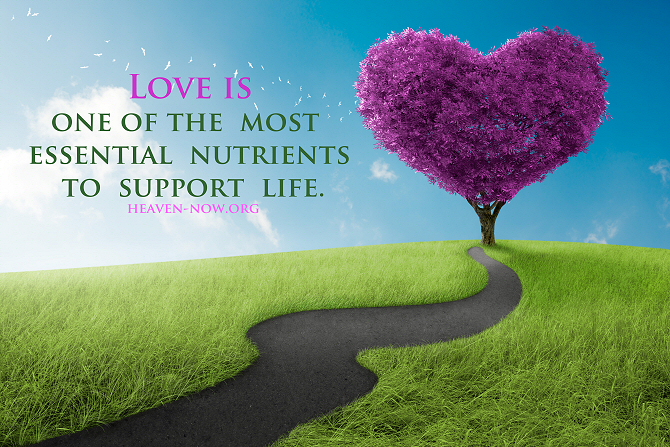 Love is one of the most essential nutrients to support life