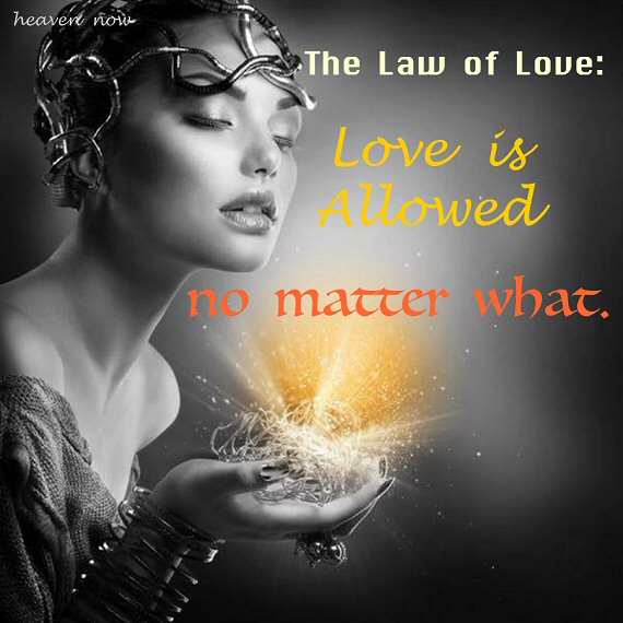 Love Is Allowed 
